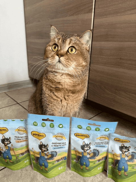 Ферма Кота Федора