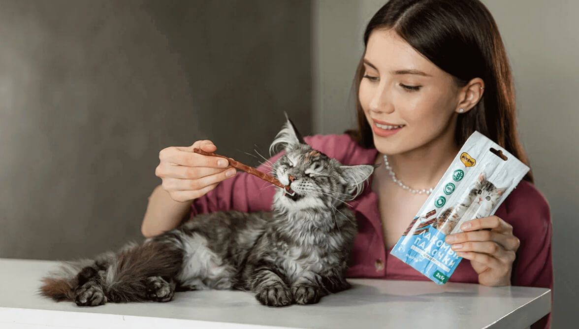 Девушка угощает кошку лакомой палочкой Мнямс