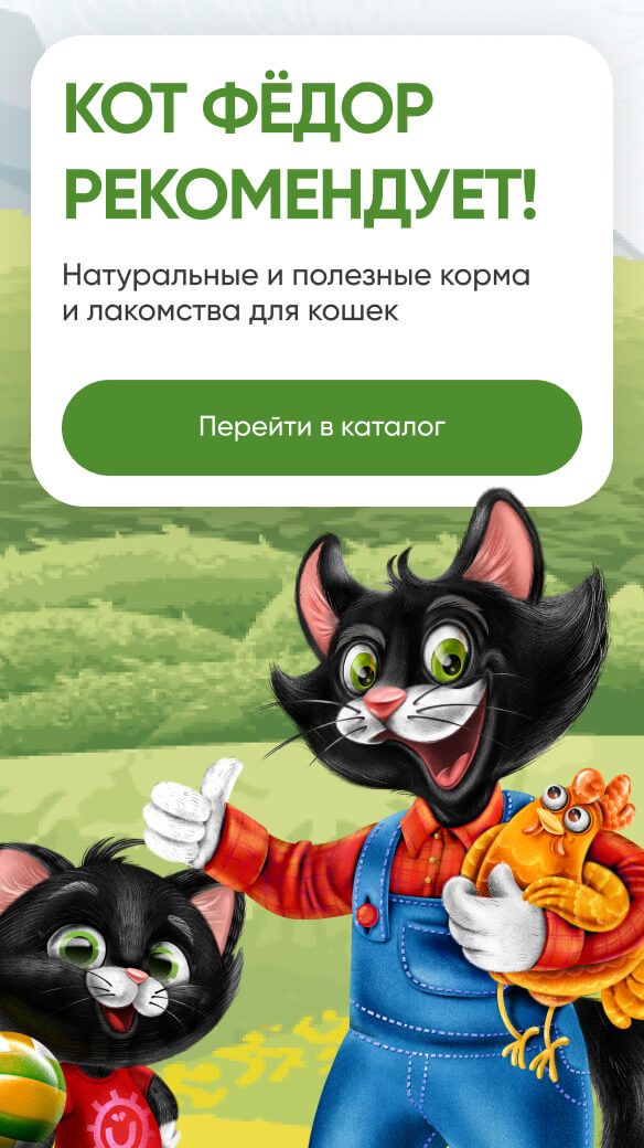 Кот Фёдор рекомендует натуральные корма и лакомства для кошек