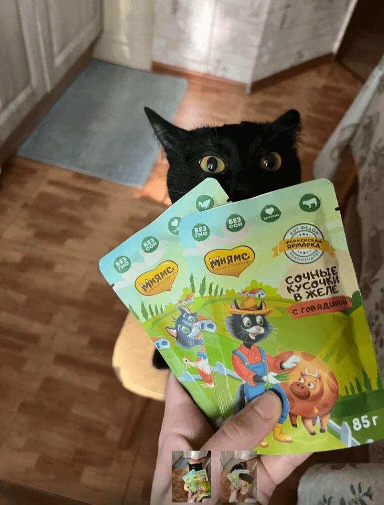 Чёрная кошка выглядывает из-за паучей Ферма кота Фёдора с говядиной