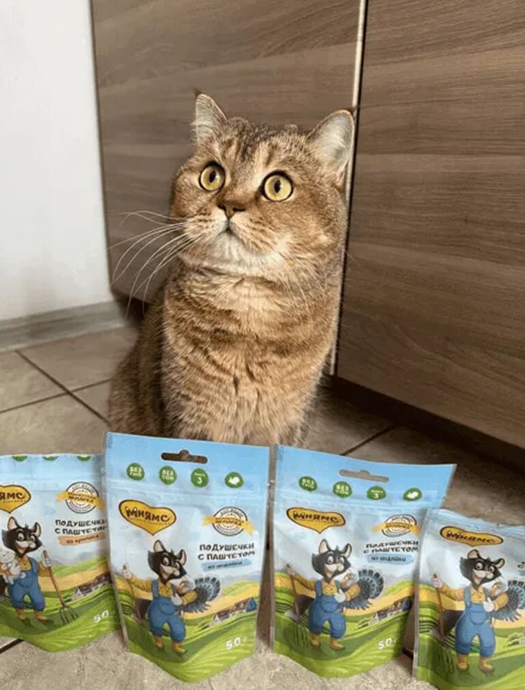 Кошка сидит рядом с упаковками лакомства Ферма кота Фёдора